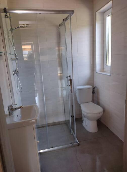 Apartamenty - Domek Bobrowe Zacisze 3 جانوفيتشي فيلكيه المظهر الخارجي الصورة